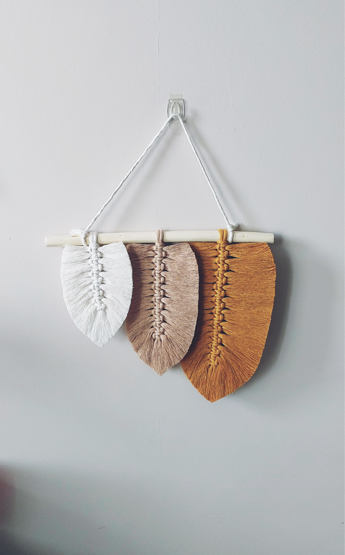 Polish_20221027_092636938